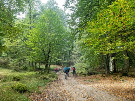 دوچرخه سواری در حاشیه مرداب ”دیوک” مازندران