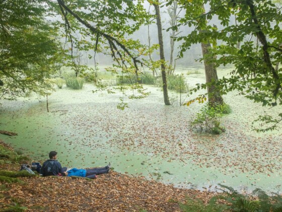 دوچرخه سواری در حاشیه مرداب ”دیوک” مازندران