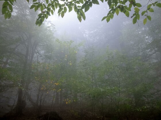 دوچرخه سواری در حاشیه مرداب ”دیوک” مازندران