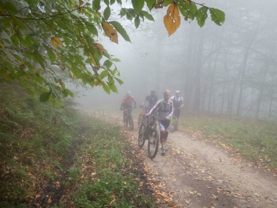 دوچرخه سواری در حاشیه مرداب ”دیوک” مازندران