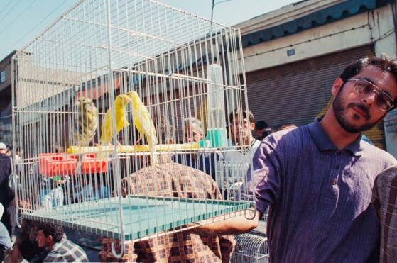 بازار پرنده فروشان مولوی تهران در دهه هفتاد