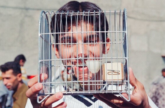 بازار پرنده فروشان مولوی تهران در دهه هفتاد