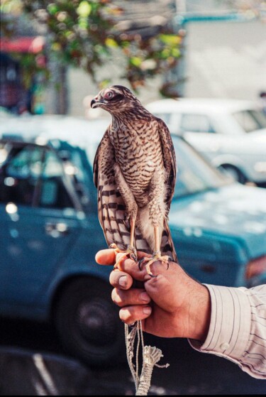 بازار پرنده فروشان مولوی تهران در دهه هفتاد