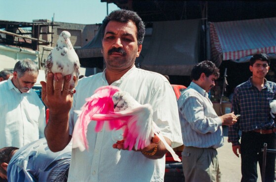 بازار پرنده فروشان مولوی تهران در دهه هفتاد