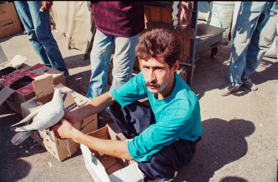 بازار پرنده فروشان مولوی تهران در دهه هفتاد