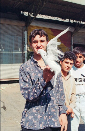 بازار پرنده فروشان مولوی تهران در دهه هفتاد