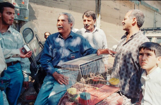 بازار پرنده فروشان مولوی تهران در دهه هفتاد