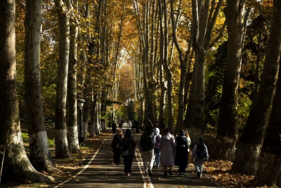 پاییز سعد آباد تهران