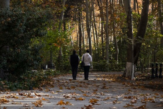 پاییز سعد آباد تهران