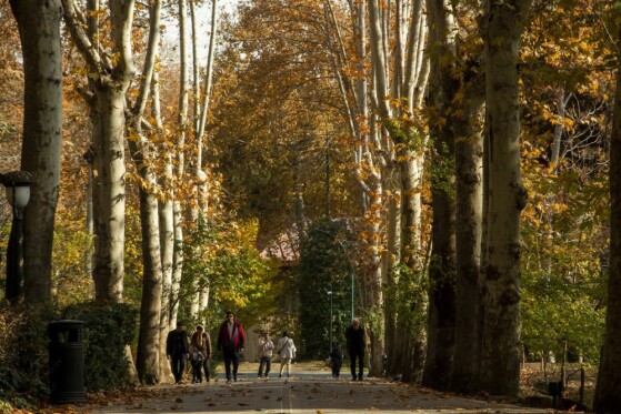 پاییز سعد آباد تهران