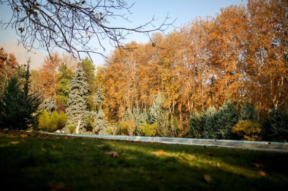 پاییز سعد آباد تهران