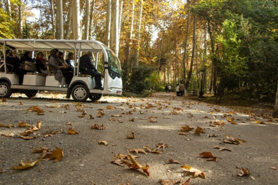 پاییز سعد آباد تهران