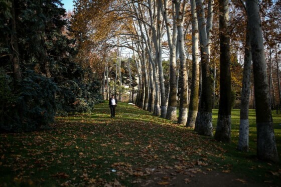 پاییز سعد آباد تهران