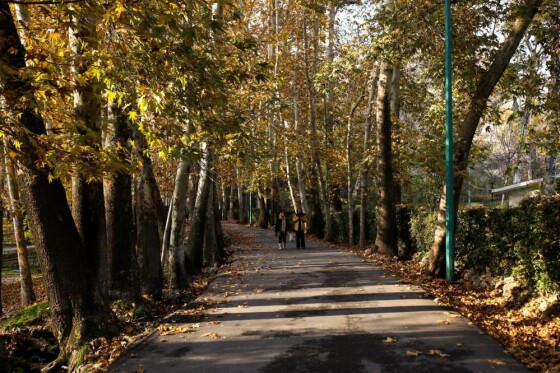 پاییز سعد آباد تهران