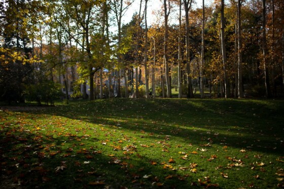 پاییز سعد آباد تهران