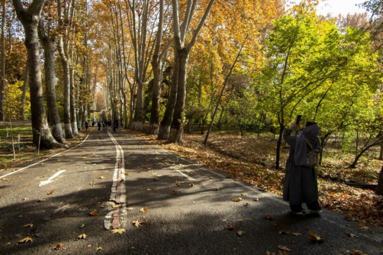 پاییز سعد آباد تهران