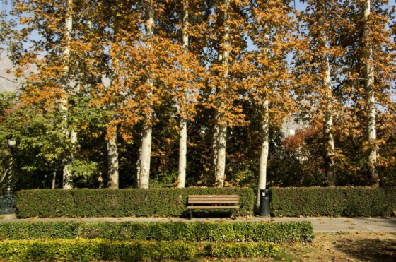 پاییز سعد آباد تهران