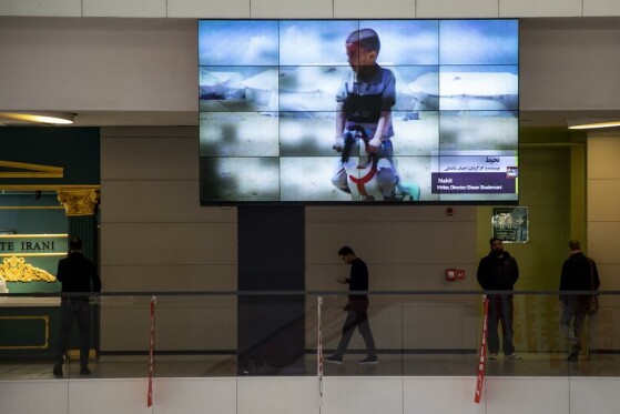 جشنواره سینما حقیقت