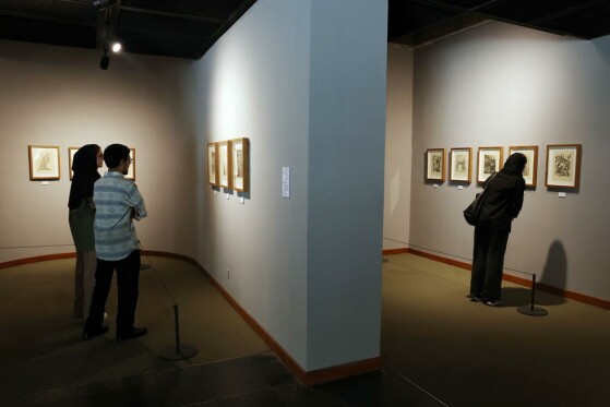 نمایشگاه آثار پیکاسو در موزه هنرهای معاصر