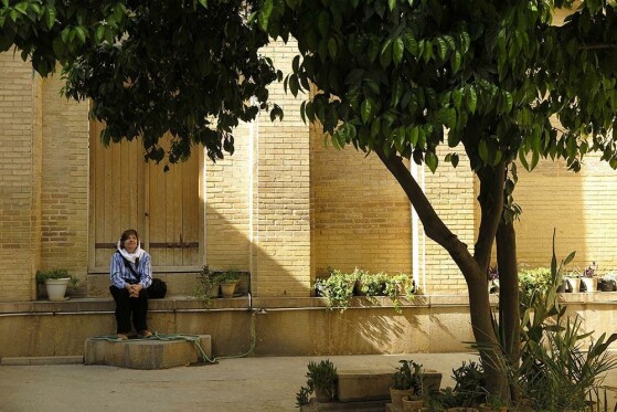۱۵ اردیبهشت روز شیراز