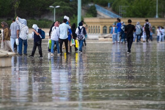 نمایشگاه کتاب زیر باران