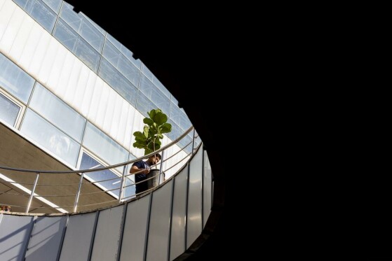 نمایشگاه گل و گیاه تهران