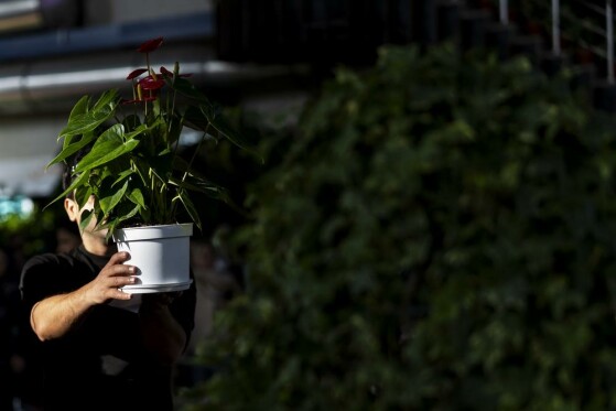 نمایشگاه گل و گیاه تهران