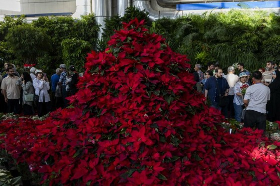 نمایشگاه گل و گیاه تهران