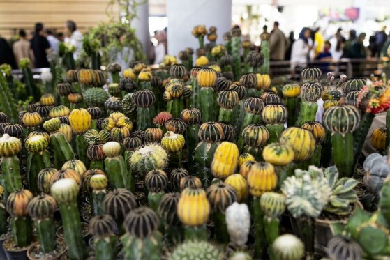 نمایشگاه گل و گیاه تهران