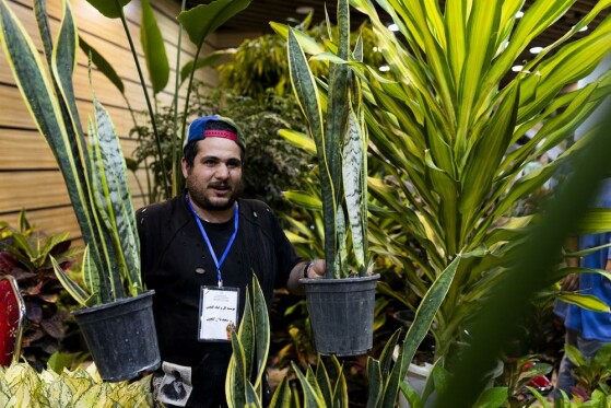 نمایشگاه گل و گیاه تهران