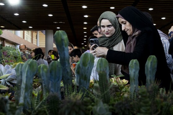 نمایشگاه گل و گیاه تهران