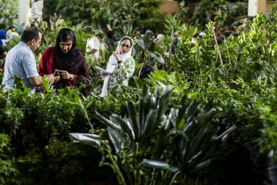 نمایشگاه گل و گیاه تهران