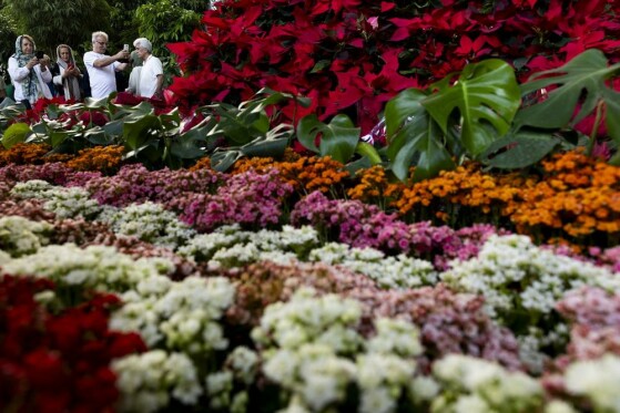 نمایشگاه گل و گیاه تهران