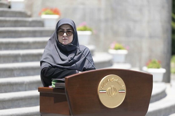 حاشیه جلسه هیات دولت