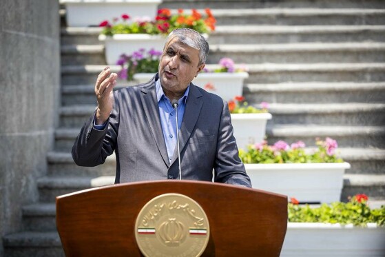 حاشیه جلسه هیات دولت