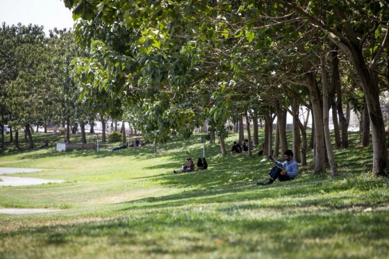 گرمای هوای تهران