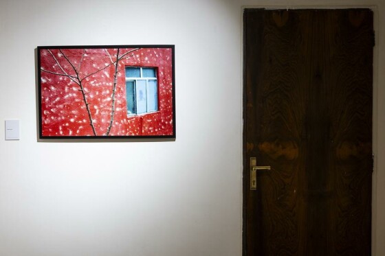 نمایشگاه عکس « گزیده‌ای از عکاسان معاصر ایرانی»