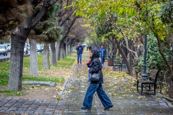 تهران بارانی شد