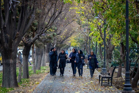 تهران بارانی شد