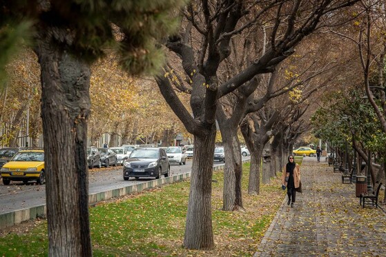 تهران بارانی شد