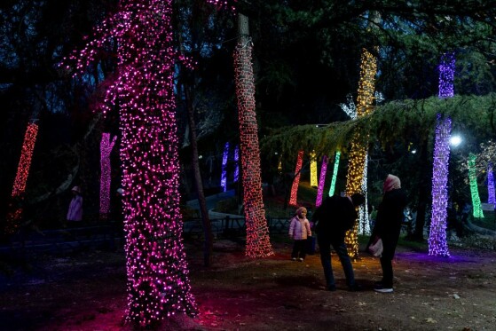 جشنواره نور در یلدای ایرانی