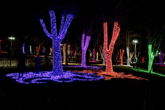 جشنواره نور در یلدای ایرانی