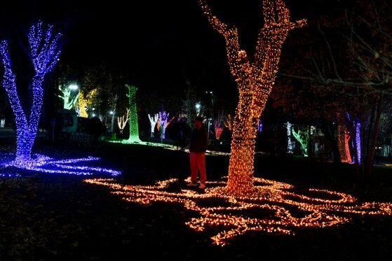 جشنواره نور در یلدای ایرانی