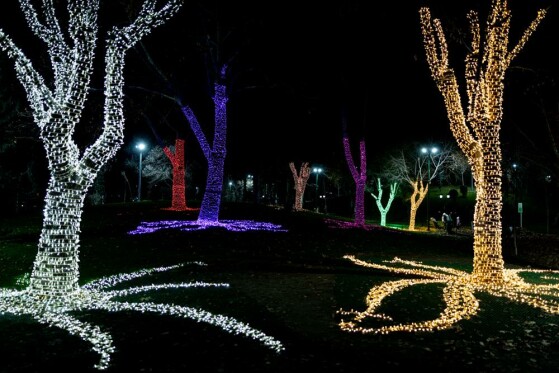 جشنواره نور در یلدای ایرانی