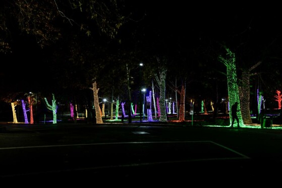 جشنواره نور در یلدای ایرانی