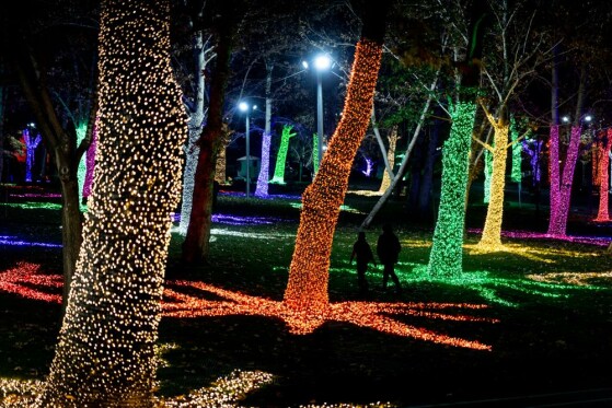 جشنواره نور در یلدای ایرانی