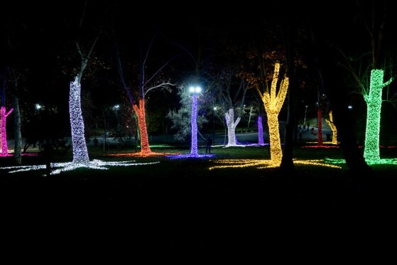 جشنواره نور در یلدای ایرانی