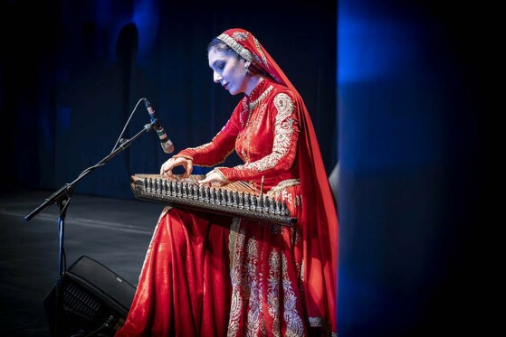 نغمه‌های آذربایجانی وحید اسداللهی در تالار وحدت