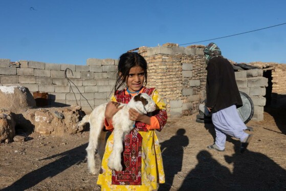 پانزدهمین تور نظارتی قوه قضاییه _ خراسان جنوبی