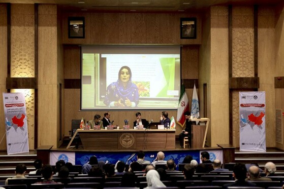 همایش نیمقرن روابط ایران و چین